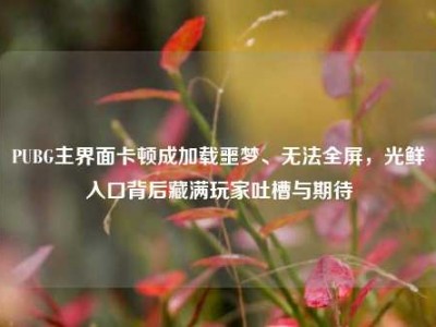 PUBG主界面卡顿成加载噩梦、无法全屏，光鲜入口背后藏满玩家吐槽与期待