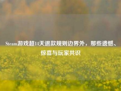 Steam游戏超14天退款规则边界外，那些遗憾、惊喜与玩家共识