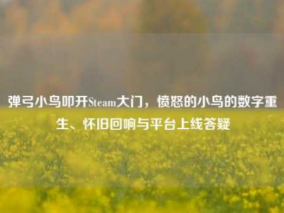 弹弓小鸟叩开Steam大门，愤怒的小鸟的数字重生、怀旧回响与平台上线答疑
