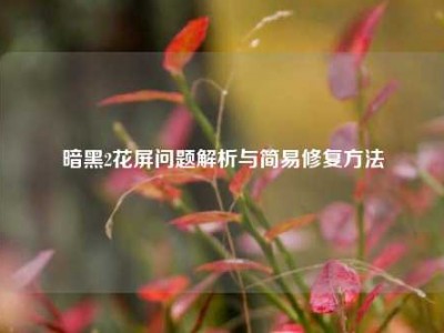 暗黑2花屏问题解析与简易修复方法