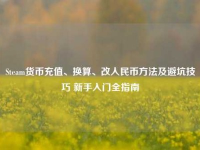Steam货币充值、换算、改人民币方法及避坑技巧 新手入门全指南