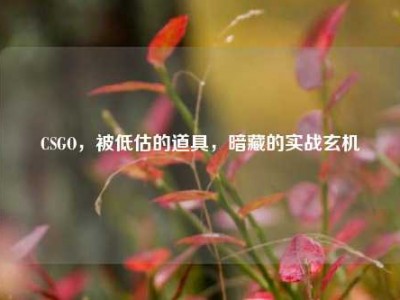 CSGO，被低估的道具，暗藏的实战玄机