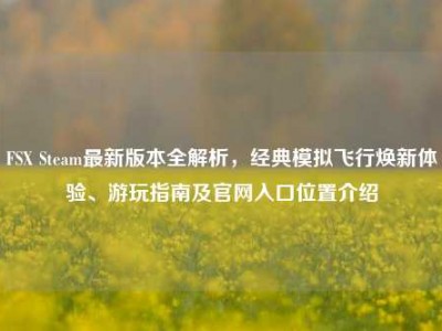 FSX Steam最新版本全解析，经典模拟飞行焕新体验、游玩指南及官网入口位置介绍