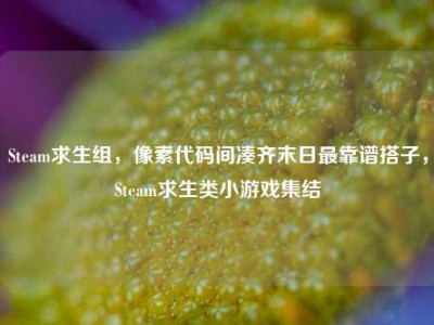 Steam求生组，像素代码间凑齐末日最靠谱搭子，Steam求生类小游戏集结