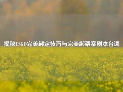 揭秘CSGO完美绑定技巧与完美绑架案剧本台词