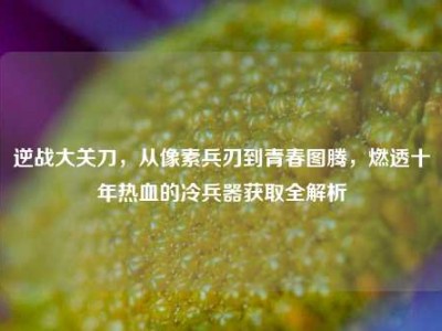 逆战大关刀，从像素兵刃到青春图腾，燃透十年热血的冷兵器获取全解析