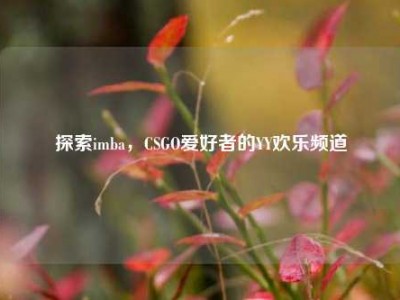 探索imba，CSGO爱好者的YY欢乐频道