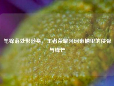 笔锋落处影随身，王者荣耀阿珂素描里的侠骨与锋芒