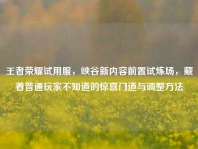 王者荣耀试用服，峡谷新内容前置试炼场，藏着普通玩家不知道的惊喜门道与调整方法