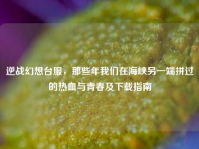 逆战幻想台服，那些年我们在海峡另一端拼过的热血与青春及下载指南