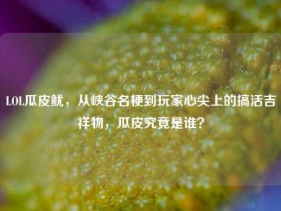 LOL瓜皮鱿，从峡谷名梗到玩家心尖上的搞活吉祥物，瓜皮究竟是谁？