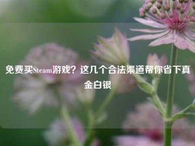 免费买Steam游戏？这几个合法渠道帮你省下真金白银