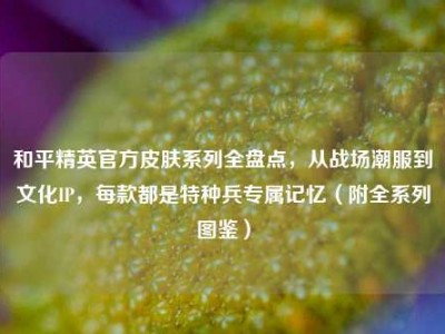 和平精英官方皮肤系列全盘点，从战场潮服到文化IP，每款都是特种兵专属记忆（附全系列图鉴）