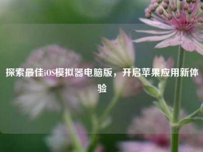 探索最佳iOS模拟器电脑版，开启苹果应用新体验