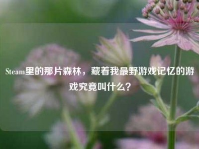 Steam里的那片森林，藏着我最野游戏记忆的游戏究竟叫什么？