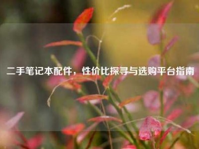 二手笔记本配件，性价比探寻与选购平台指南