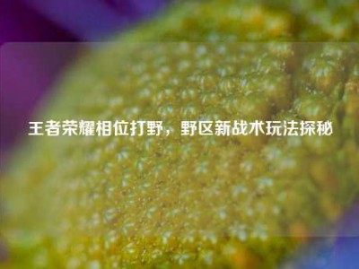 王者荣耀相位打野，野区新战术玩法探秘