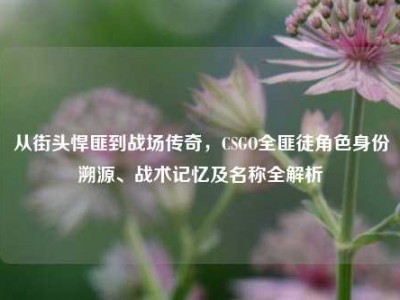 从街头悍匪到战场传奇，CSGO全匪徒角色身份溯源、战术记忆及名称全解析