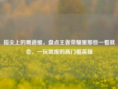 指尖上的蜀道难，盘点王者荣耀里那些一看就会、一玩就废的高门槛英雄