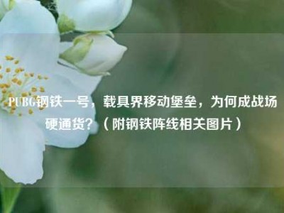 PUBG钢铁一号，载具界移动堡垒，为何成战场硬通货？（附钢铁阵线相关图片）