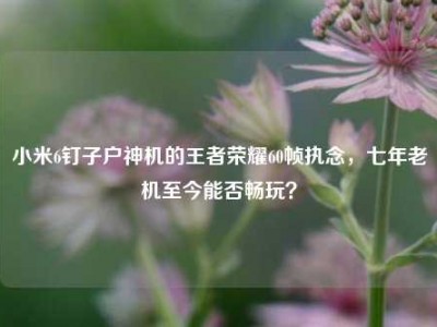 小米6钉子户神机的王者荣耀60帧执念，七年老机至今能否畅玩？