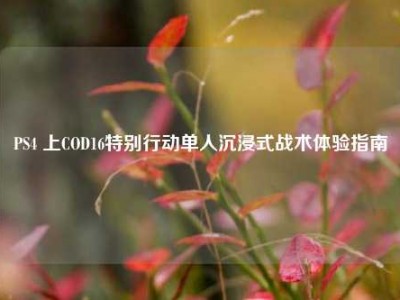 PS4 上COD16特别行动单人沉浸式战术体验指南