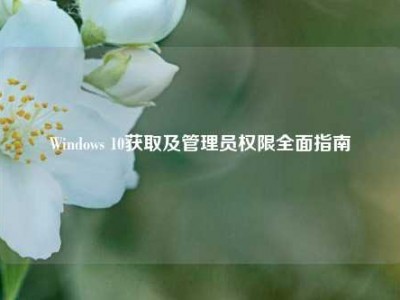 Windows 10获取及管理员权限全面指南