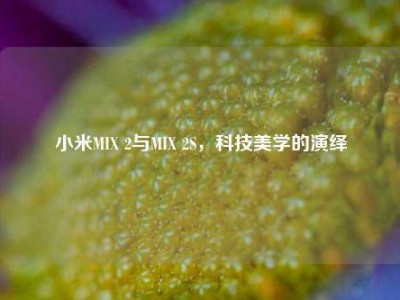 小米MIX 2与MIX 2S，科技美学的演绎