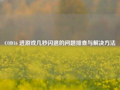 COD16 进游戏几秒闪退的问题排查与解决方法
