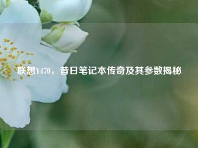 联想Y470，昔日笔记本传奇及其参数揭秘