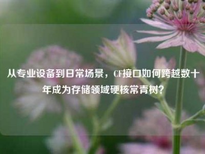 从专业设备到日常场景，CF接口如何跨越数十年成为存储领域硬核常青树？