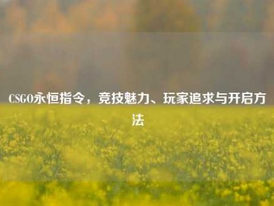 CSGO永恒指令，竞技魅力、玩家追求与开启方法