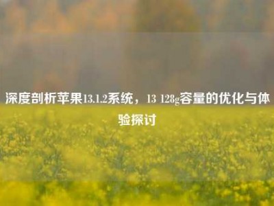 深度剖析苹果13.1.2系统，13 128g容量的优化与体验探讨