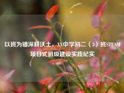 以班为锚深耕沃土，XX中学初二（3）班STEAM项目式班级建设实践纪实