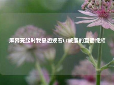 屏幕亮起时我最想观看CF威廉的直播视频