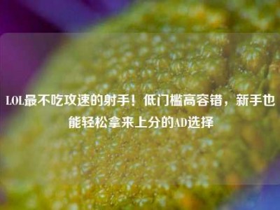 LOL最不吃攻速的射手！低门槛高容错，新手也能轻松拿来上分的AD选择