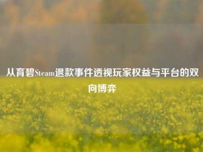 从育碧Steam退款事件透视玩家权益与平台的双向博弈