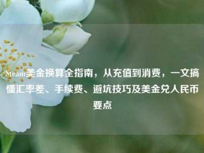 Steam美金换算全指南，从充值到消费，一文搞懂汇率差、手续费、避坑技巧及美金兑人民币要点