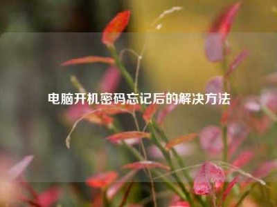 电脑开机密码忘记后的解决方法