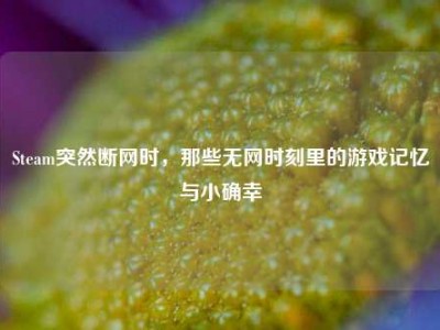 Steam突然断网时，那些无网时刻里的游戏记忆与小确幸