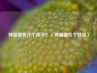 钟丽缇有几个孩子？（钟丽缇几个娃娃）