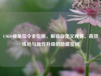 CSGO视角指令全指南，解锁自定义观赛、高效练枪与操作升级的隐藏密钥