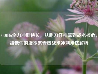 COD16全力冲刺特长，从跑刀仔神器到战术核心，被低估的版本常青树战术冲刺用法解析