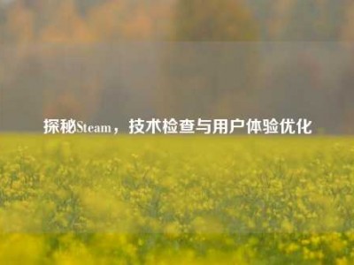 探秘Steam，技术检查与用户体验优化