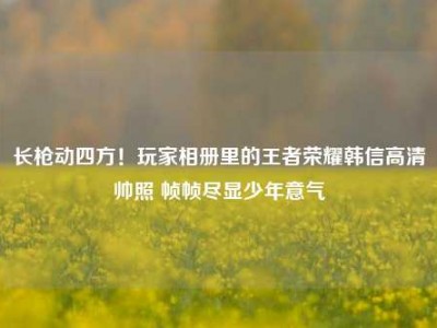 长枪动四方！玩家相册里的王者荣耀韩信高清帅照 帧帧尽显少年意气