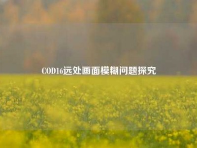 COD16远处画面模糊问题探究