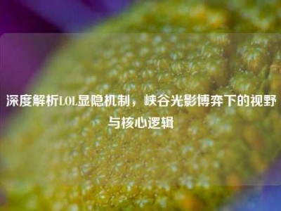 深度解析LOL显隐机制，峡谷光影博弈下的视野与核心逻辑