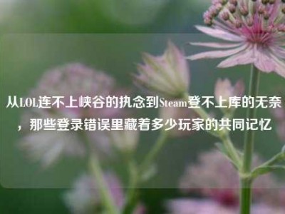 从LOL连不上峡谷的执念到Steam登不上库的无奈，那些登录错误里藏着多少玩家的共同记忆