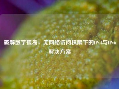 破解数字孤岛，无网络访问权限下的IPv4与IPv6解决方案