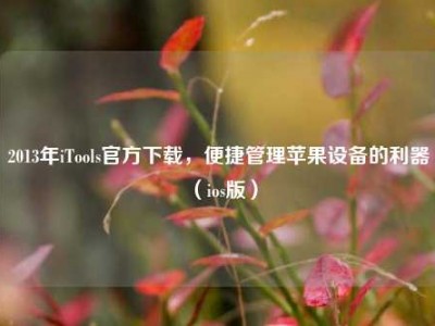 2013年iTools官方下载，便捷管理苹果设备的利器（ios版）